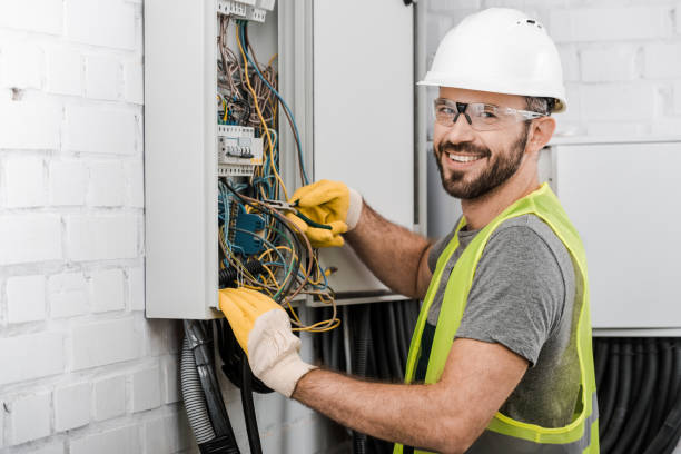 Best Electric Panel Repair  in Thomasboro, IL
