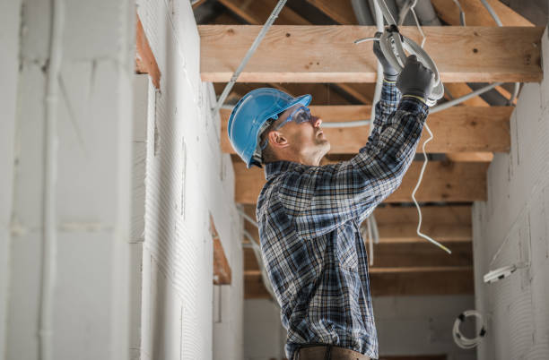 Best Ceiling Fan Installation Electrician  in Thomasboro, IL