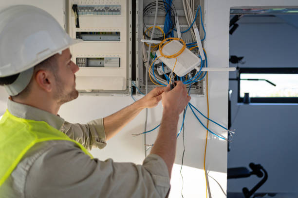 Best Electrician for Home Renovation  in Thomasboro, IL